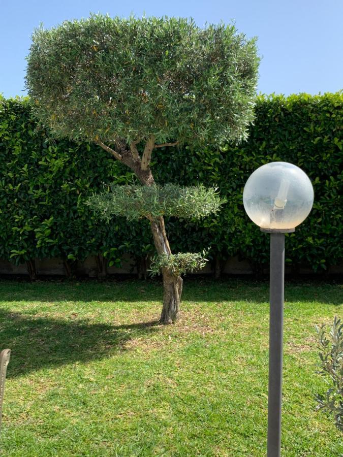 كارلينتيني B&B Vittoria House المظهر الخارجي الصورة